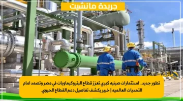 تطور جديد.. استثمارات صينية كبرى تعزز قطاع البتروكيماويات في مصر وتصمد أمام التحديات العالمية خبير يكشف تفاصيل دعم القطاع الحيوي. 1